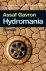 Assaf Gavron - Hydromania