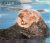Sea Otters. A Natural Histo...