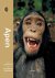Apen / Beest in beeld