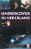Ardy Stegeman - Undercover In Nederland