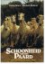 Bruns, Ursula / Weiland, Elisabeth - Schoonheid van het paard