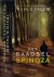 Het Raadsel Spinoza: Roman