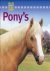 Budd, Jackie - Mijn eerste boek over: Pony's