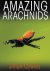Amazing arachnids