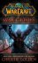 World of Warcraft - War Cri...