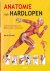 Anatomie van hardlopen