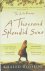 Khaled Hosseini - A Thousand Splendid Suns