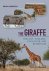 The Giraffe Biology, Ecolog...