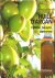 Huile d'Argan - Cuisine, be...