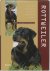 Esther Verhoef - Rottweiler