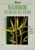 W. Eberts , R. Bolte 35000 - Bamboe in huis en tuin adviezen voor het planten, verzorgen, vermeerderen en overwinteren