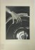 Alfred Stieglitz photograph...