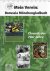 Merk, Ulrich / Schulin, André / Grossmann, Maik - Mein Verein: Borussia Mönchengladbach -Chronik der 70er Jahre