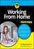 Tara Powers - 2020 Working From Home For Dummies