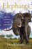 Elephants Birth, Life, and ...