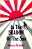 In the shadow of the sun: t...