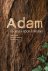 Nijsing - Adam!
