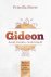 Priscilla Shirer - Gideon