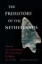 The Prehistory of the Nethe...