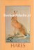 Wyn, Hughes D. - Hares