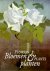 Bloemen & planten