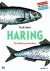 Huib Stam - Haring