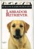 LABRADOR RETRIEVER - B. Fog...