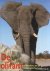 De olifant in de natuur- en...