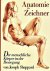 Anatomie für Zeichner