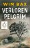 Wim Bax 209820 - Verloren pelgrim