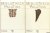 Mittler, Elmar - Bibliotheca Palatina (2+1 volumes)