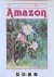Margaret Mee's Amazon. Pain...