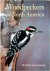 Woodpeckers of North America