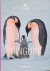 Frans Lanting: Pinguïn