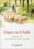 Hooghwerff, B.-Schapen van ...