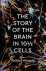 The Story of the Brain in 1...