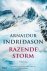 Arnaldur Indridason - Razende storm