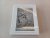 Adolf von Hildebrand (1847-...