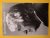 WITMAN, BOB. - Anthon Beeke