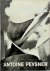 Antoine Pevsner - Tribute b...