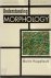 Understanding Morphology