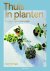 Thuis in planten: creëer je...