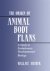 Wallace Arthur - The Origin of Animal Body Plans