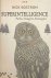 Superintelligence. Paths, D...