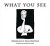 Gail Geltner - What You See