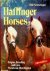 Haflinger Horses Origins, b...