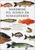 Handboek Vis Schelp En Scha...