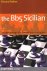 The Bb5 Sicilian. A dynamic...