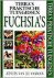 Fuchsia's / Terra's praktis...