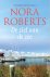 Nora Roberts - De ziel van de zee